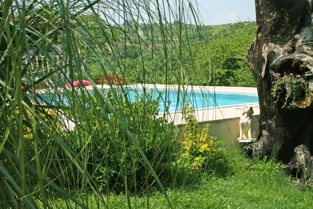 Ormanevi Otantik Hotel Ağva Esterno foto